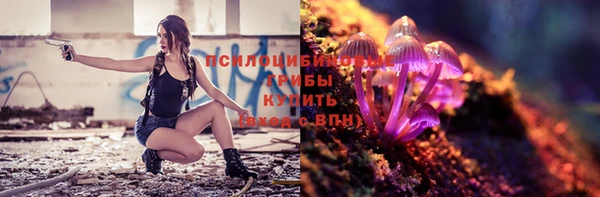 соль ск Аркадак