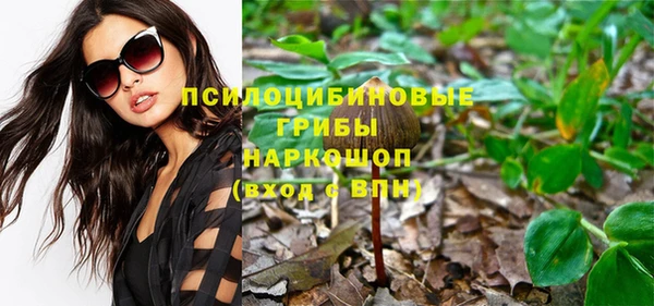 соль ск Аркадак