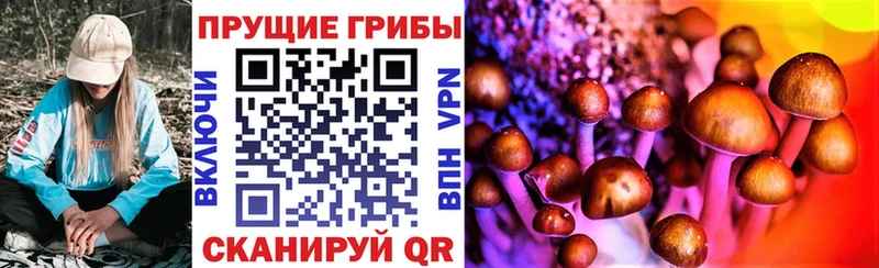Галлюциногенные грибы MAGIC MUSHROOMS  darknet официальный сайт  МЕГА как войти  Североморск  хочу наркоту 